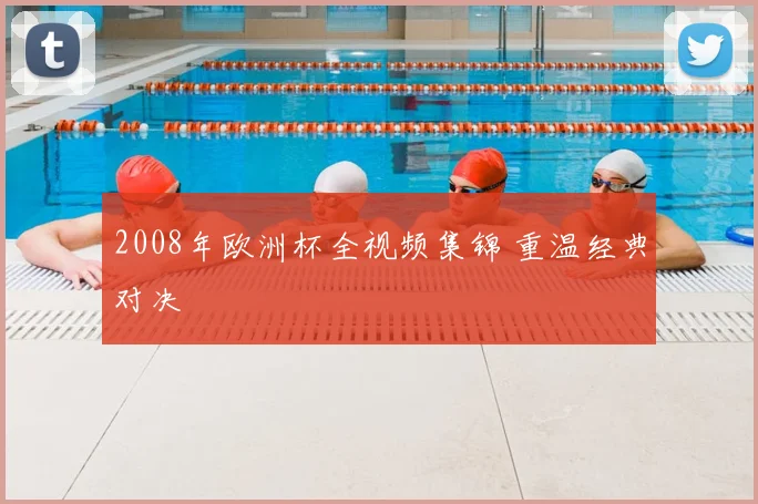2008年欧洲杯全视频集锦 重温经典对决