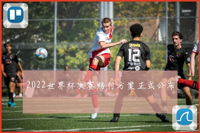 2022世界杯决赛赔付方案正式公布
