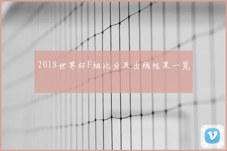 2018世界杯F组比分及出线结果一览