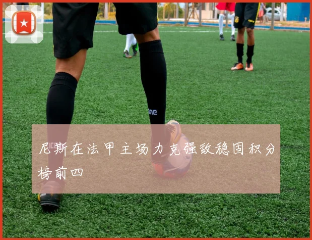 尼斯在法甲主场力克强敌稳固积分榜前四