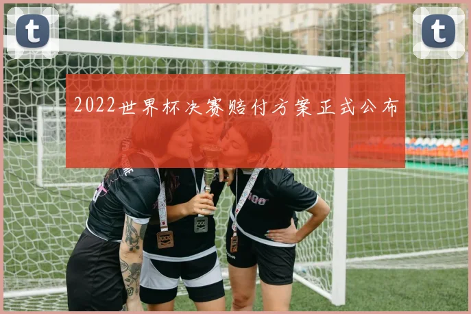 2022世界杯决赛赔付方案正式公布