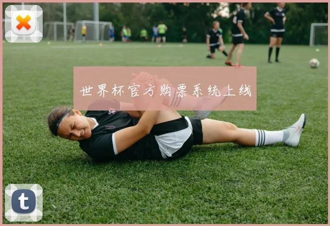 世界杯官方购票系统上线
