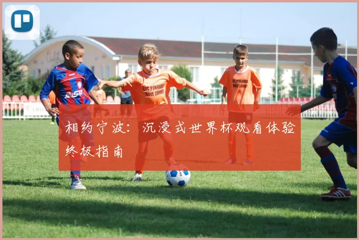 相约宁波：沉浸式世界杯观看体验终极指南