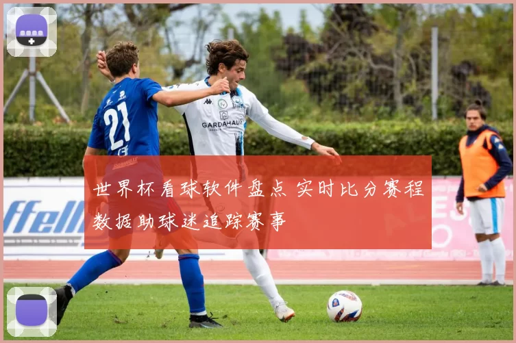 世界杯看球软件盘点 实时比分赛程数据助球迷追踪赛事